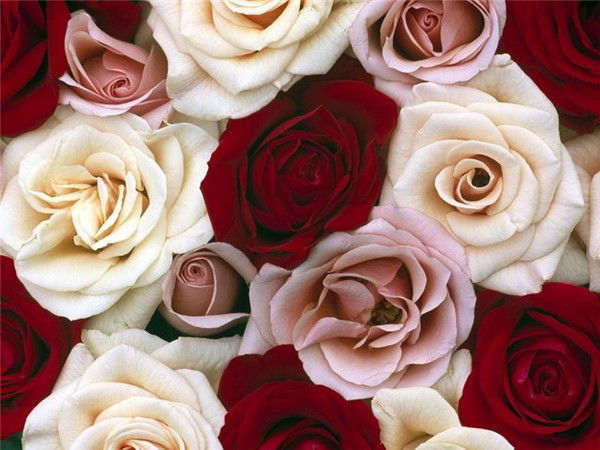 Baldyrgan2 Baldyrgan2