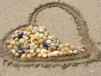 Наталья Никитина