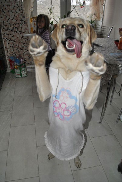 Алексей Зинцов