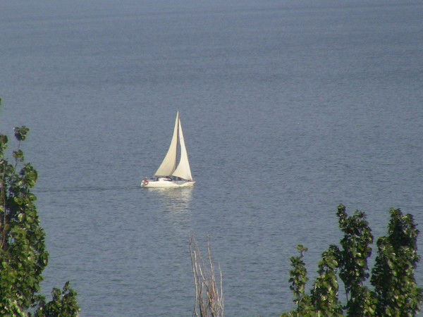 Екатерина Мелых