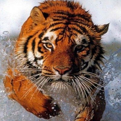 Кабар Кабар