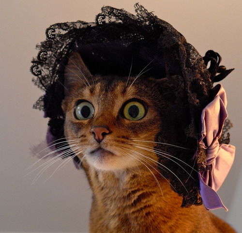 Виктория Скоробогатова