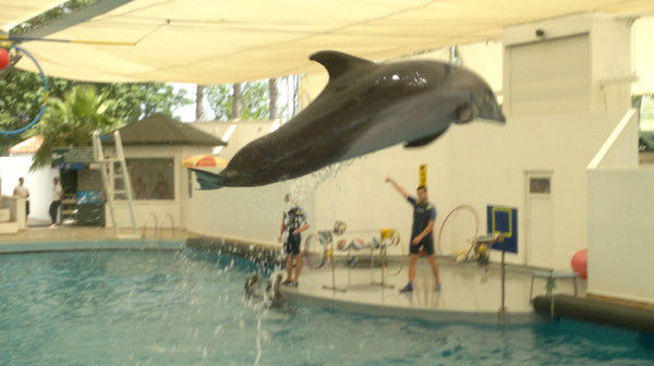 Неля Шакурманка