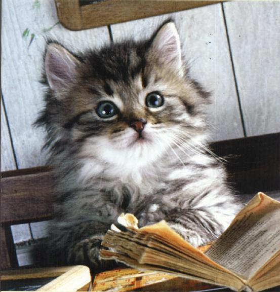 Ольга Ковардакова