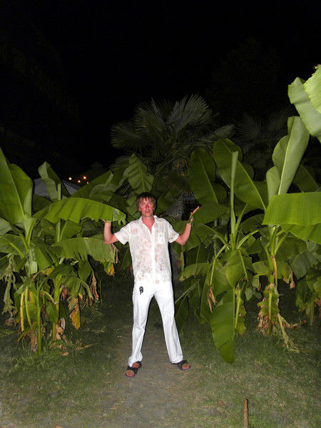 Сергей Петренко