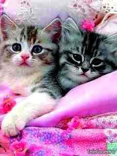 Марина Кабанова