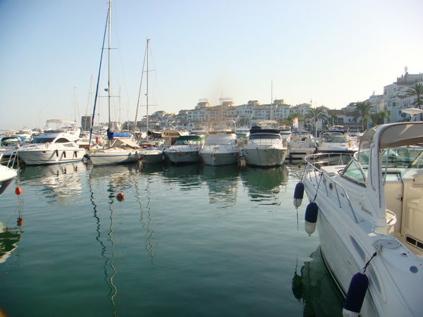 Ирина Степченко