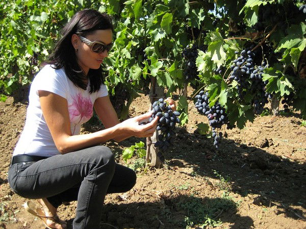 Марина Алиева