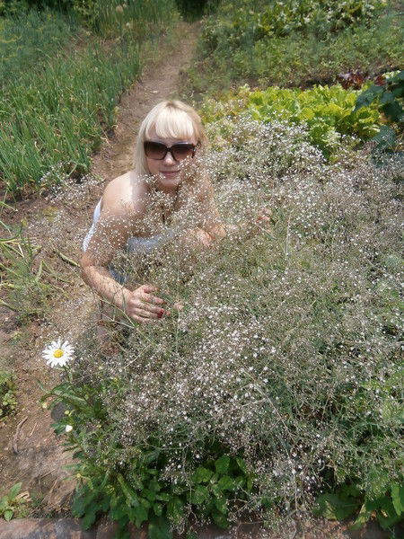 Вера Бельды