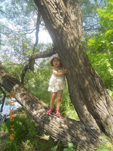 Калима Токтогонова