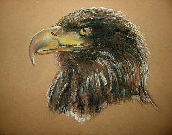 Алексей Орлов