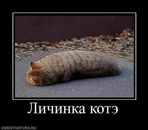 Данил Резик