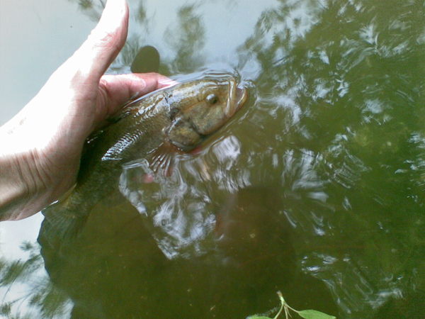 Ахмут Хайруллин