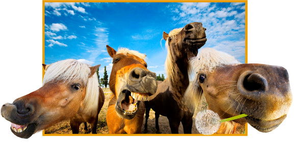 Ирина Малыхина