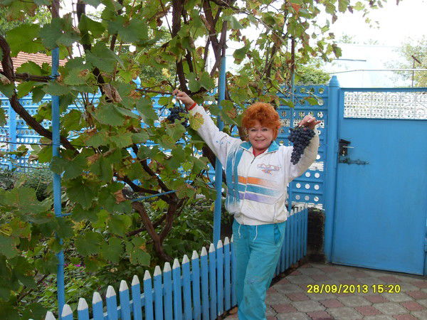 Ирина Ильевич (Орлова)