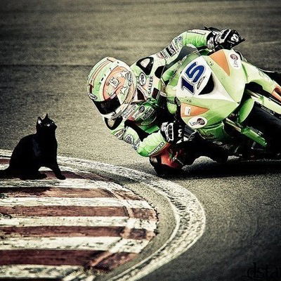 Денис Лоскутов