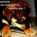 Сергей Васенёв