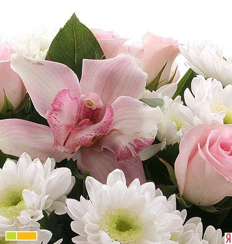 Виктория Стульба