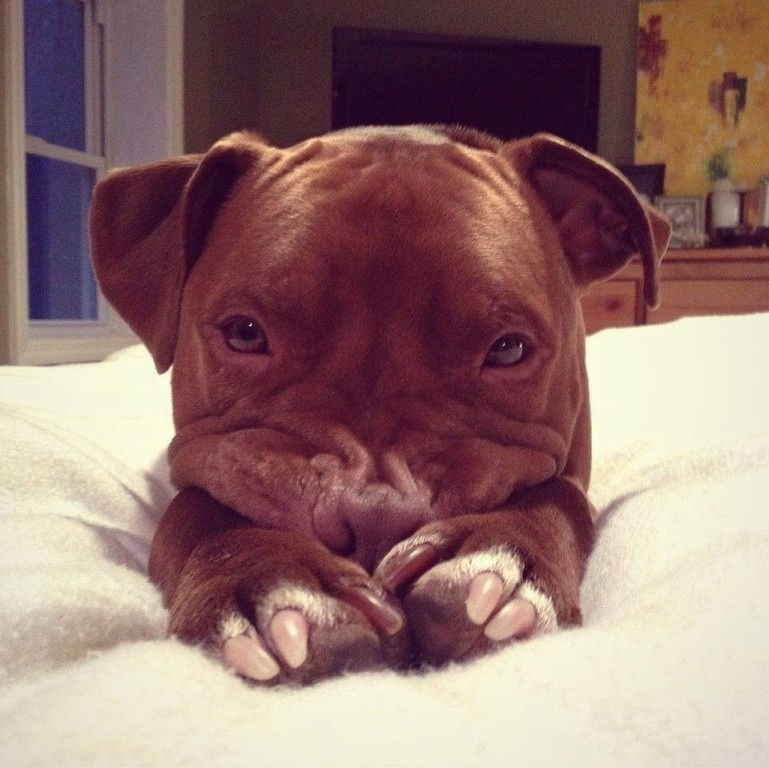 Владимир Сухов