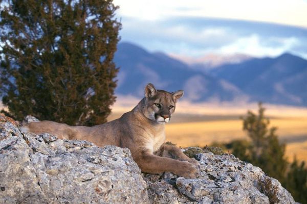 Наталия Павлова