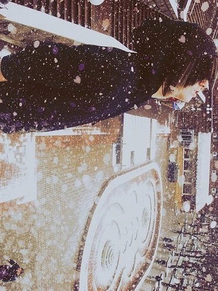 Владимир Вербицкий