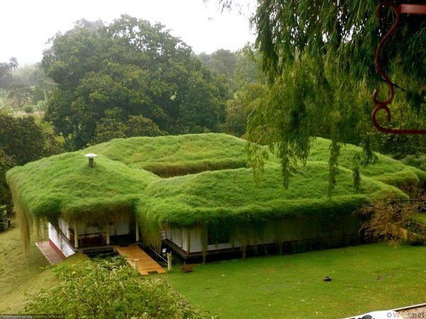 Дина Ештаева