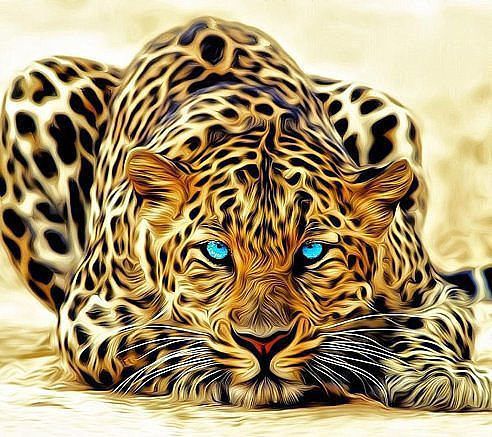 Янис Таранович