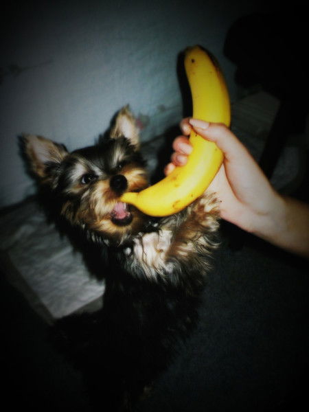 Денис Кравченко