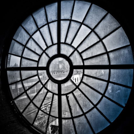 Светлана Дмитриченко