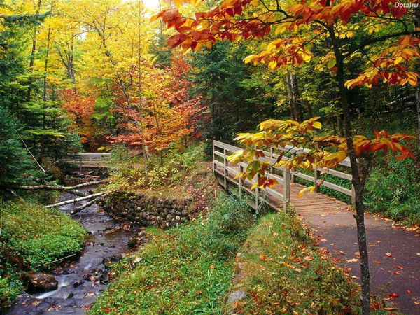 Талгат Акматалиев