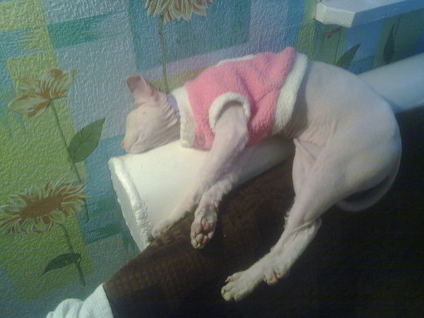 Светлана Рыжкова