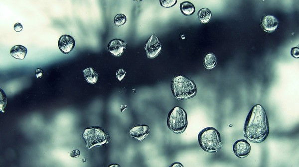 Марина Любушкина