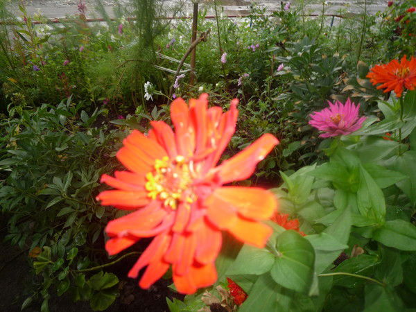 Люба И Филя