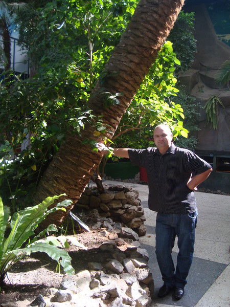 Дмитрий Трофимов