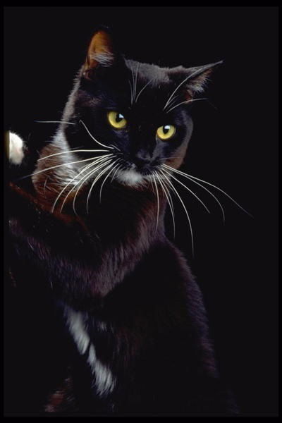 Станислав Батов