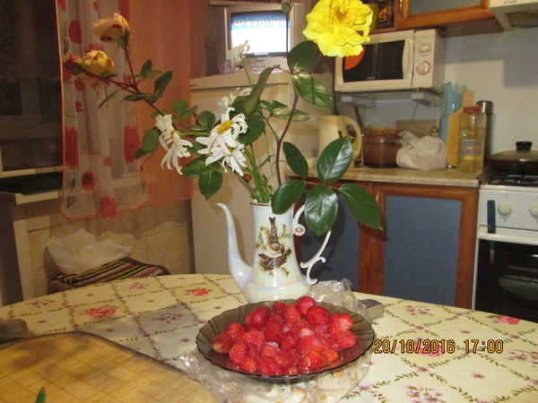 Владимир Елисеев