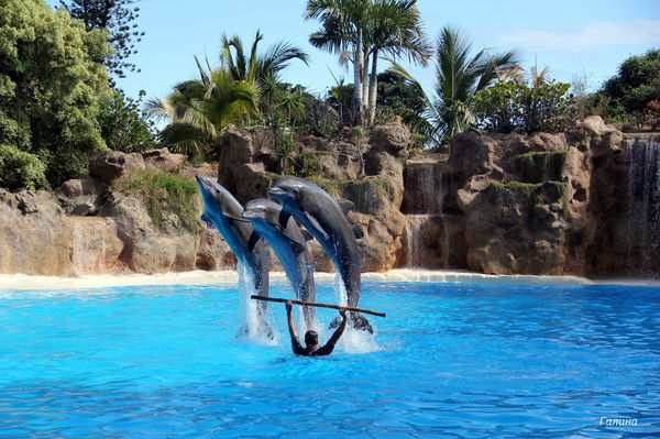 Адия Ибраева