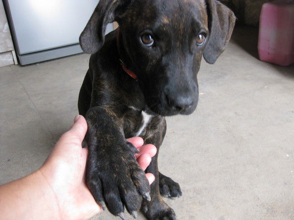 Светлана Баранова (Комыхова)