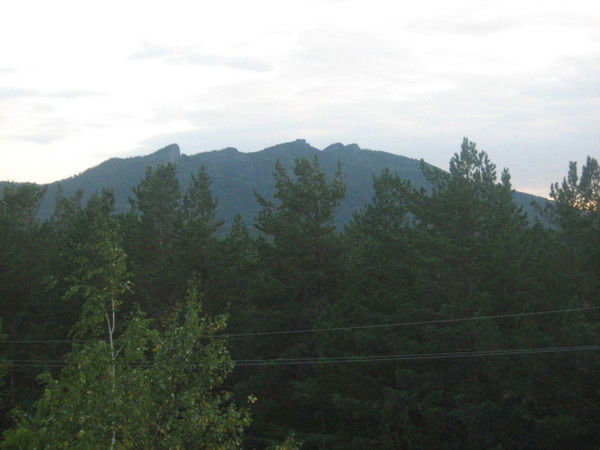 Дина Байсадыкова