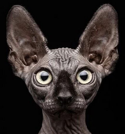 Александр А......