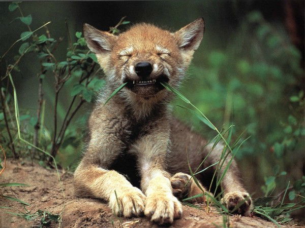 Алексей Маташин