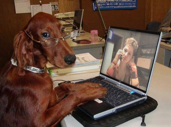 Юлия Герасимова