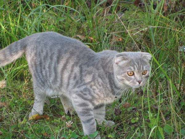 Хмелев Андрей