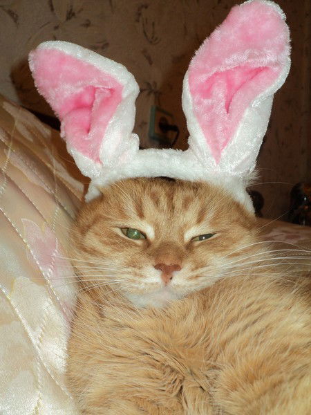 Наталья Мясникова