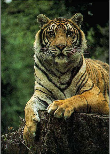 Алексей Ленский