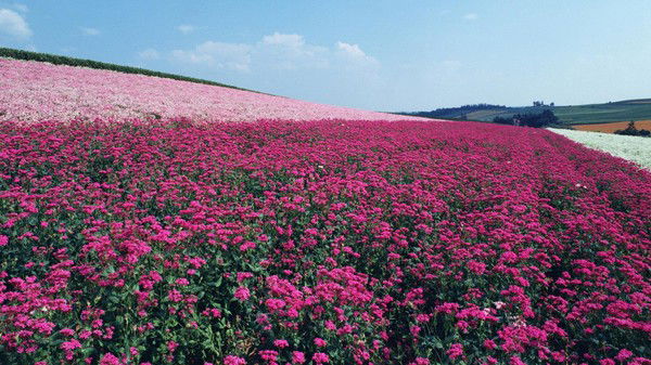 Наталья ++++++