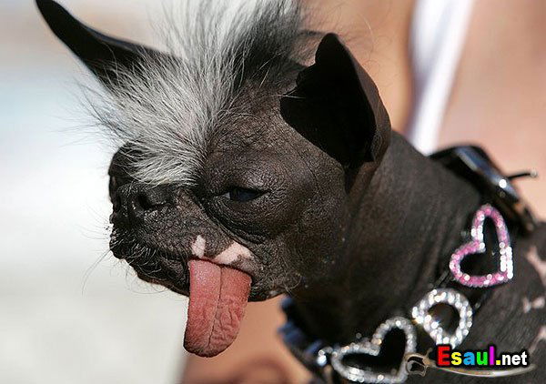 Сергей Изюмов