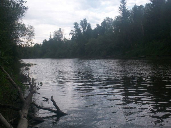 Александр Колбин