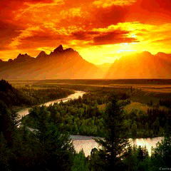 Галина Кван