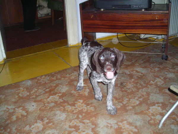 Павел Горошков